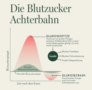 Diagramm zeigt Blutzuckerspitzen durch schnelle Kohlenhydrate und stabile Blutzuckerschwankungen durch ausgewogene Ernährung.